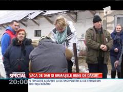 SPECIAL! Primeşti vacă, dai viţeluşa