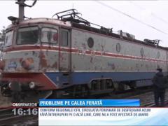 Blocaj pe calea ferată. Vagon deraiat aproape de Gara Mintia
