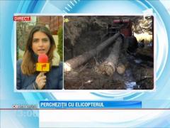Percheziții în județul Iași la persoane bănuite de tăiere și sustragere de material lemnos