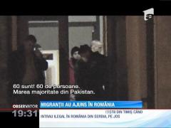 PRIMELE IMAGINI cu cei 60 de imigranţi care au pătruns ILEGAL în România din Serbia