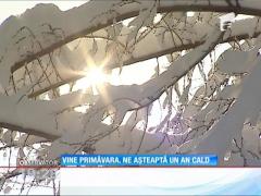 Ianuarie a venit cu ger, februarie vine cu primăvara