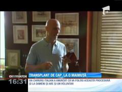 Chinezii au efectuat cu succes operaţie de transplant de cap la o maimuţă