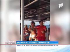 IMA Star Observator 22/01/2016