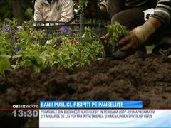 Banii publici, risipiţi pe panseluţe şi palmieri
