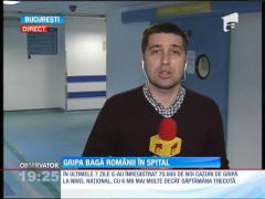 Devenită epidemie în Ucraina şi Republica Moldova, gripa porcină a ajuns din nou în România. 10 cazuri au fost confirmate, oficial, în nordul României