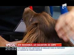 Special! Ieri maidanezi, azi salvatori de copii