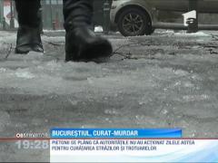 Bucureştiul arată deplorabil după gerul şi ninsorile din săptămânile trecute