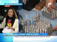 Stare de alertă în judeţul Suceava din cauza gripei porcine care a ajuns la graniţă şi ucide 10 oameni pe zi
