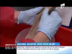 Un vaccin împotriva Zika ar putea fi disponibil peste un an