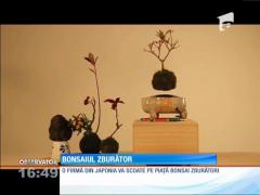 Au apărut ghivecele zburătoare!