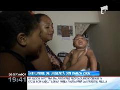 Întrunire de urgență din cauza virusului Zika