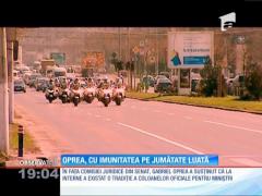 Gabriel Oprea, cu imunitatea pe jumătate luată. Soarta fostului vicepremier va fi hotărâtă în plenul Senatului