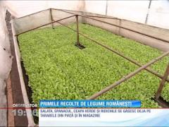 Primele recolte de legume românești se găsesc deja pe tarabele din piață