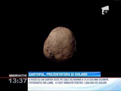 Observator 13 Weekend