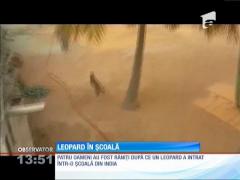 Un leopard a creat panică într-o şcoală din India