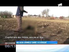 Un bărbat care a postat pe Facebook o fotografie cu un câine pe care l-a ucis a revoltat mii de români