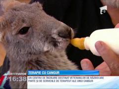 Un cangur le oferă afecțiune rezidenţilor unui centru de îngrijire dedicat veteranilor