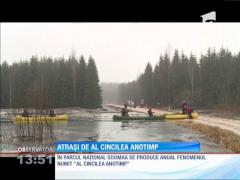 "Al cincilea anotimp", doar în Estonia