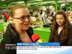 Prima recoltă de primăvară a ajuns în pieţe. Preţurile sunt mai mici spre deosebire de anii trecuţi