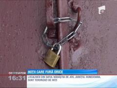 Hoţii au terorizat un sat întreg din Hunedoara. Oamenii din Nădăştia de Jos se plâng că nimic nu îi sperie pe tâlhari