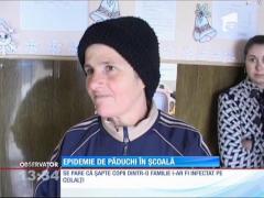 Epidemie de păduchi într-o școală din județul Ialomița