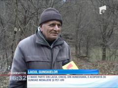 Lacul Cinciş, invadat de gunoaie