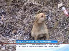 Observator 16 Weekend