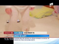 Observator 13 Weekend