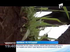 Un elefant din Sri Lanka detestă pozele de tip selfie