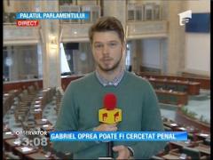 Fostul ministru de Interne Gabriel Oprea poate fi cercetat penal