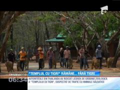Celebrul "Templu cu tigri" din Thailanda ar putea rămâne fără animale