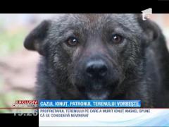 Proprietarul terenului pe care a fost ucis Ionuţ Anghel: "Un copil de patru ani nu trebuie lăsat nesupravegheat"