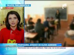 Cadrele didactice ar putea avea statutul de autoritate publică