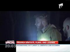 SPECIAL! Pădurea Hoia Baciu, unul dintre cele mai bântuite din lume