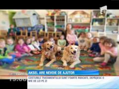 Aksel, un câine de terapie, are nevoie de ajutor