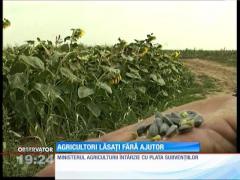 Fermierii nu își fertilizează terenurile pentru că nu au bani