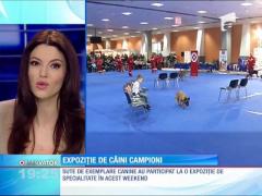 Observator de weekend