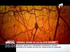 Special! Creierul, pe post de calculator