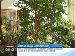 Liber la luxul lui Nicolae Ceauşescu! Palatul Primăverii şi-a deschis porţile publicului larg