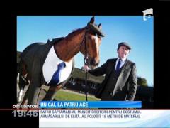 Un cal îmbrăcat în sacou şi pantalon, cămaşă albă şi cravată albastră!