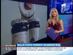 "Telemeaua de Ibăneşti", recunoscută în Uniunea Europeană