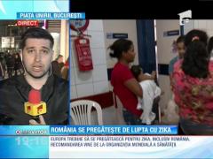 OMS avertizează: Virusul Zika va afecta şi Europa!