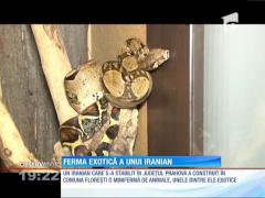 Ferma cu animale exotice din Prahova