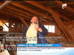 Crescătorii de animale cer între 10 și 12 lei pe kilogram pentru miel viu