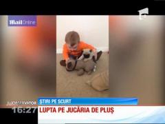 Un bebeluş care abia stă în şezut şi trei pui de căţei din rasa Mops fac furori pe internet