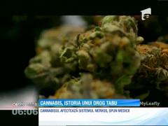 Cinci români dintr-o sută sunt consumatori de cannabis