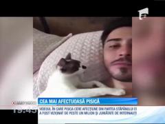 Cea mai afectuoasă pisică