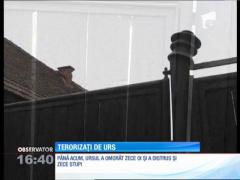 Observator 16 - partea II