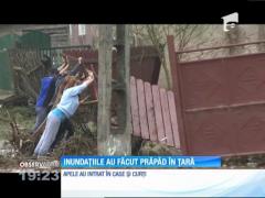 Observator de weekend