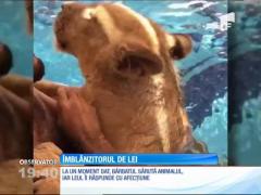 Un bărbat sărută un pui de leu